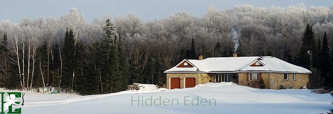 Hidden-Eden-winter-header